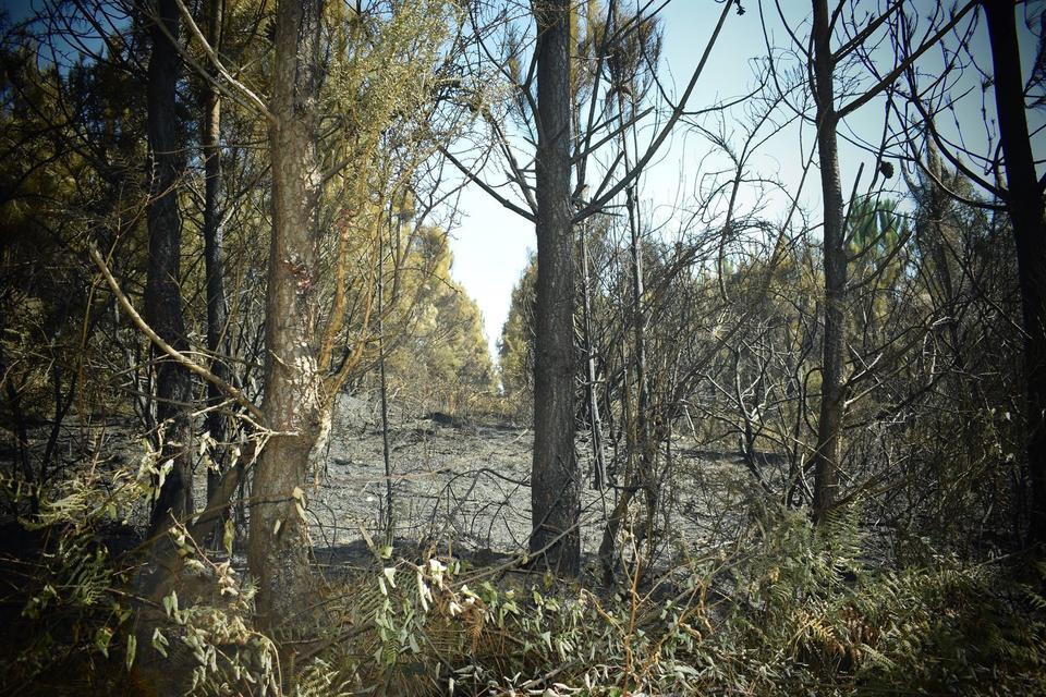 Asi quedou Toba tralo incendio-Foto-MarcosKor