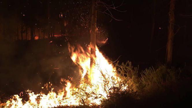 Incenido en Berdoias-Fani Santos