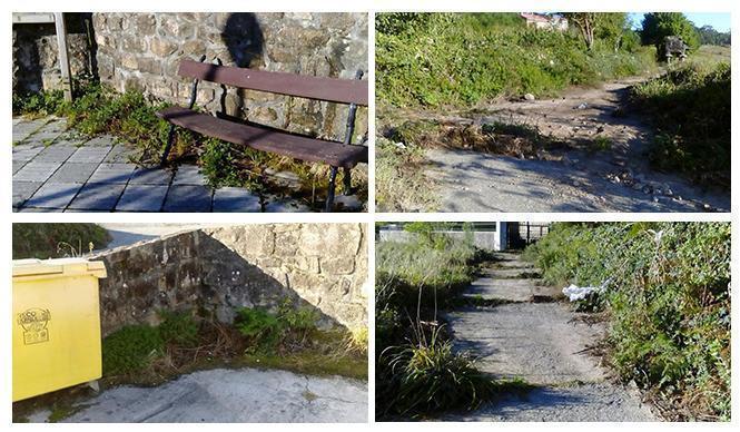 A maleza invade alguns caminos e espazos publicos de Canosa Lires