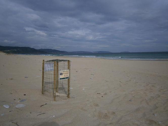 Os voluntarios recolleran unha boa parte dos refugallos plasticos do areal de Baldaio