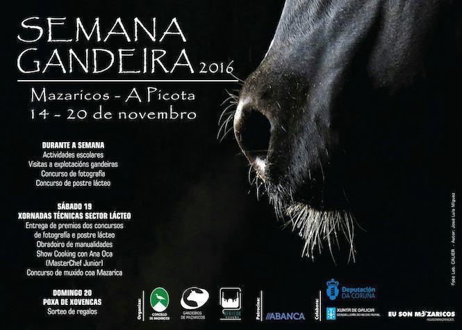 Semana Gandeira Mazaricos 2016