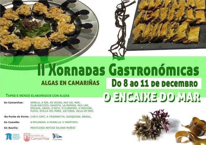 algas-camarinas
