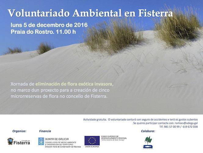 fisterra-contra-invasoras