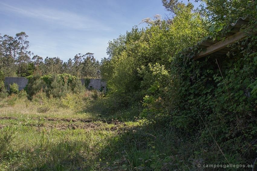 Campo do Balsino-Piroga-Baio-Foto-Campos Galegos copia