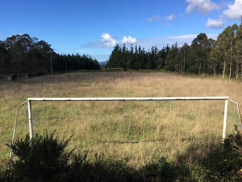 Campo vello dos petons-Foto-Alberto pose