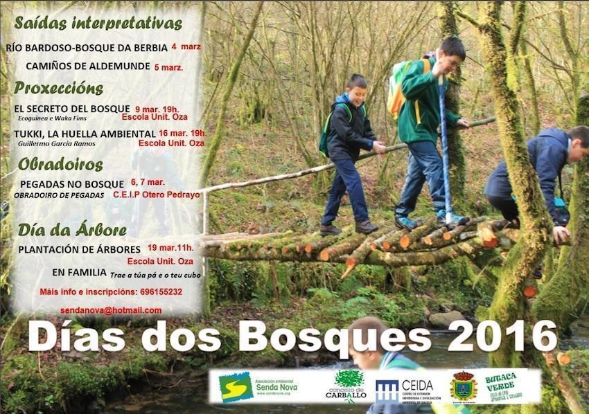 Dias dos Bosques de Senda Nova 2017