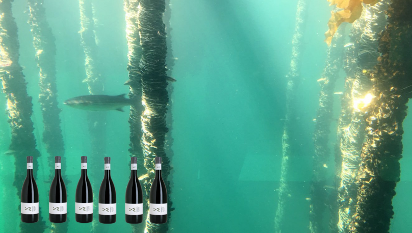 Simulacion dunha batea con botellas de vino-Foto orixinal da batea-FranVein