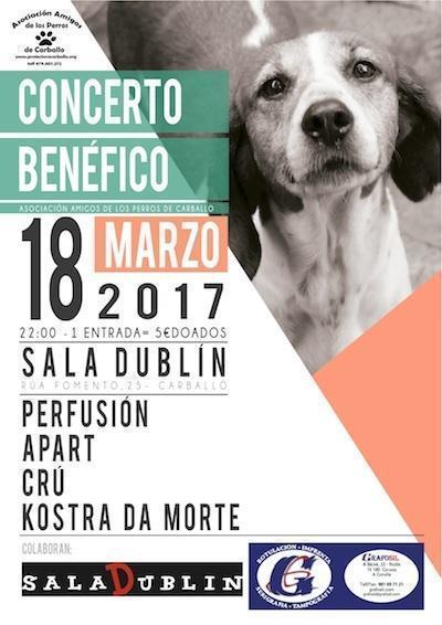 Concerto Benefico con Asociacion Amigos dos Perros de Carballo