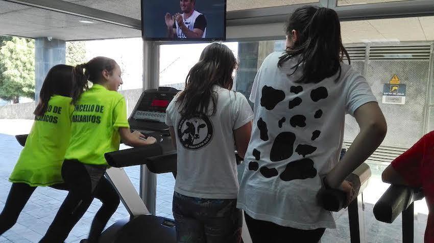 As Vacas no Ximnasio de Mz