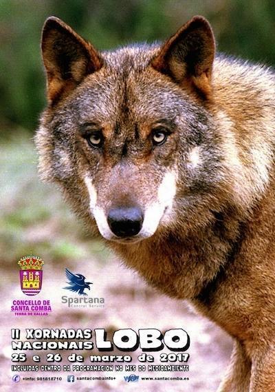 II Xornadas do lobo de Santa Comba 2017