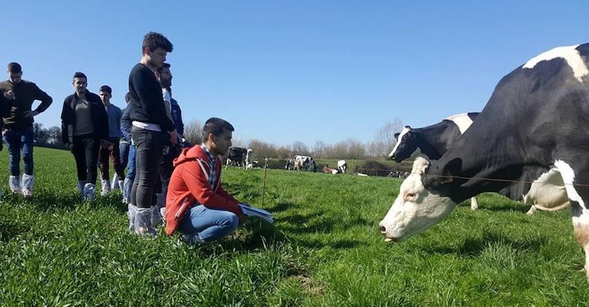 Viaxe do EFA Fonteboa a Francia