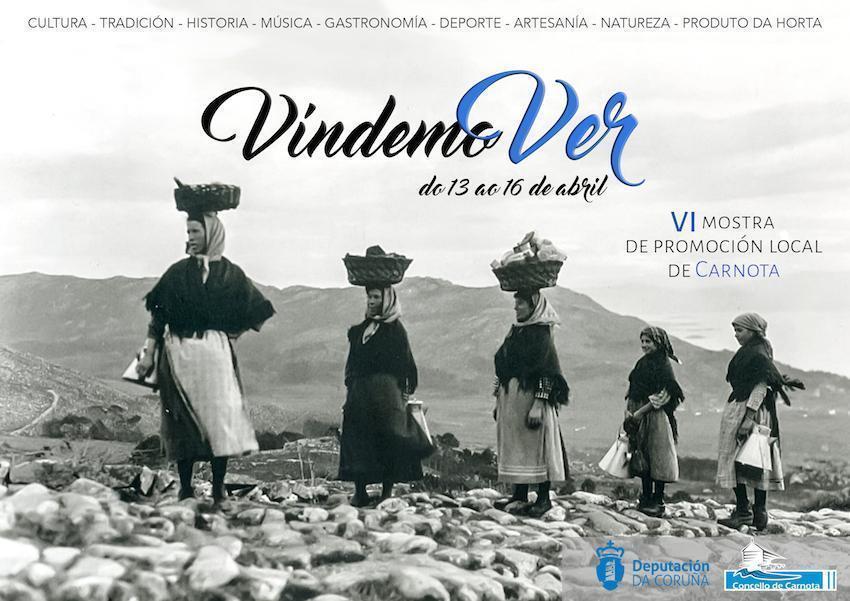 CARTEL VINDEMOVER CARNOTA 2017