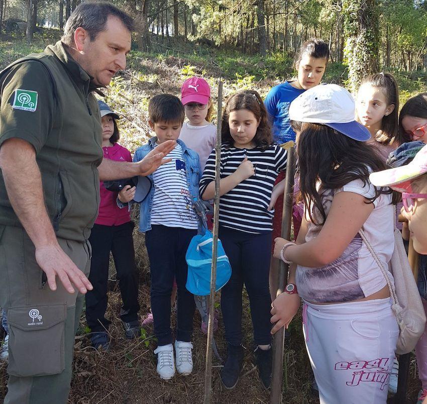 O Distrito Forestal V prantando castineiros cos alumnos do CEIP Areouta de Sardineiro