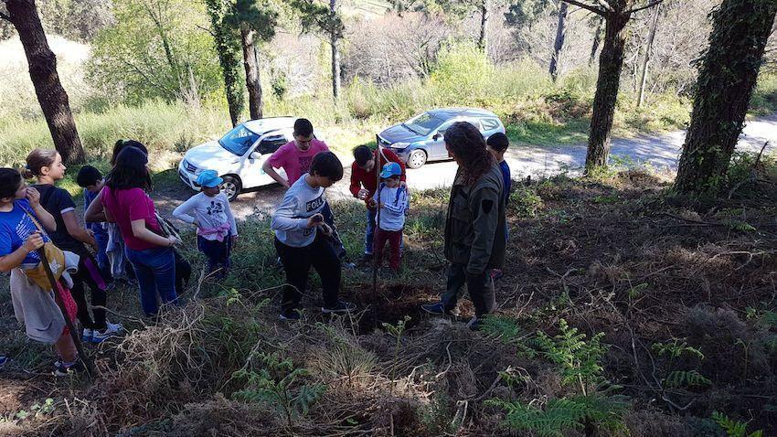 Xornada de Educacion Ambiental do Distrito Forestal V co CEIP Areouta de Sardineiro