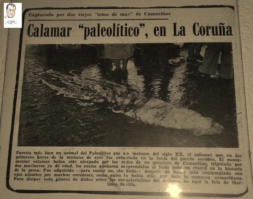 Recorte de periodico dos anos 70 co calamar xigante da Coruna