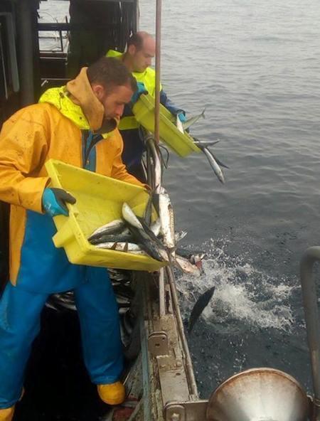 Barcos galegos tirando xarda ao mar de volta por falta de cota-Foto-Xose Iglesias