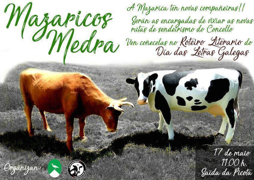 Letras Galegas 2017 Mazaricos