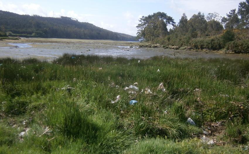 A zona da Basa esta chea de plasticos