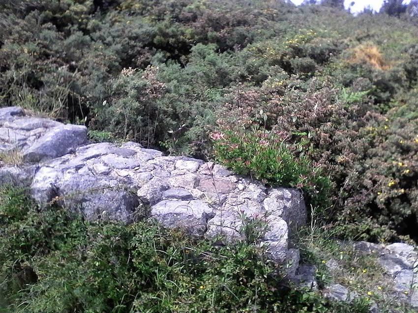As silvas e as toxeiras comen as pedras da Ermida de San Guillerme 2