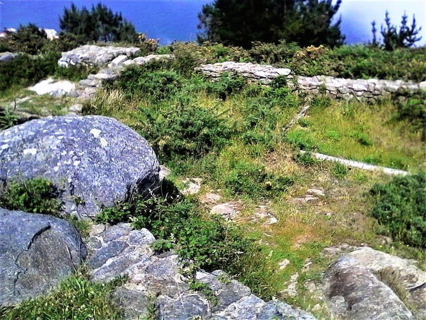 As silvas e as toxeiras comen as pedras da Ermida de San Guillerme