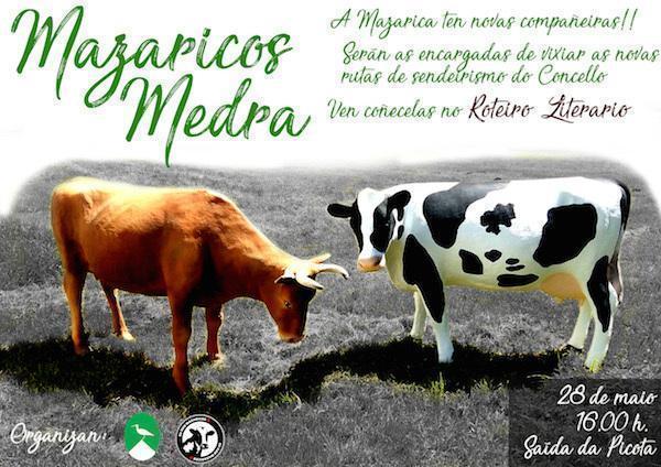 Cartel_Roteiro_Mazaricos