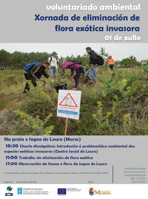 cartaz-invasoras-Louro-17