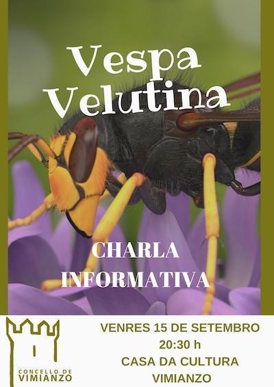 Charla sobre avespa velutina en Vimianzo