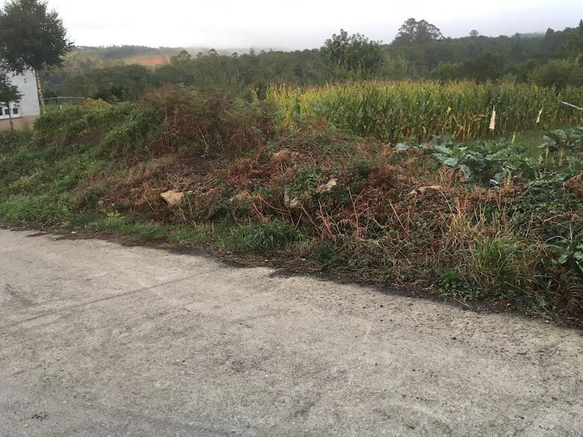 Lugar onde o BNG propon situar a nova marquesina de Tedin