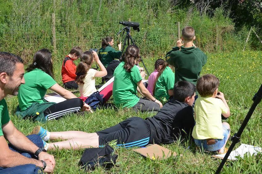 Avistamentos na Escola Ambiental de Senda Nova