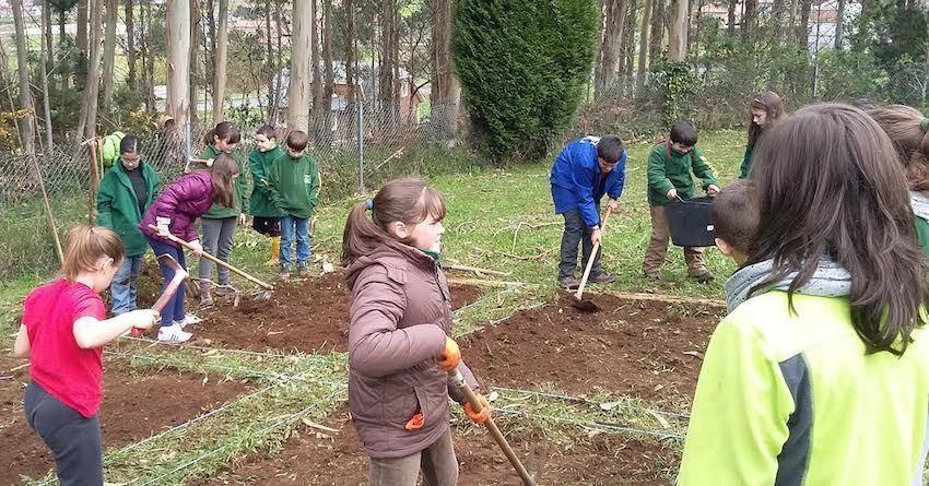 mbiental de Senda NovaMoita horta na Escola