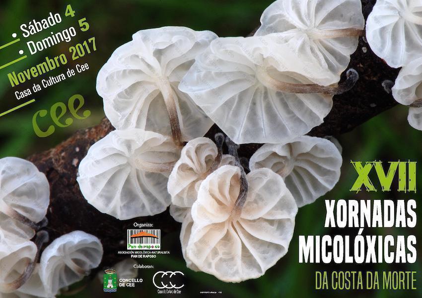Cartel XVII Xornadas Micoloxicas da Costa da Morte 2017