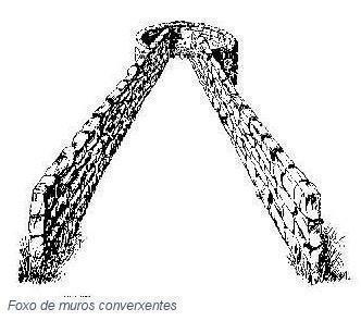 Imaxe dun foxo do lobo de muros converxentes