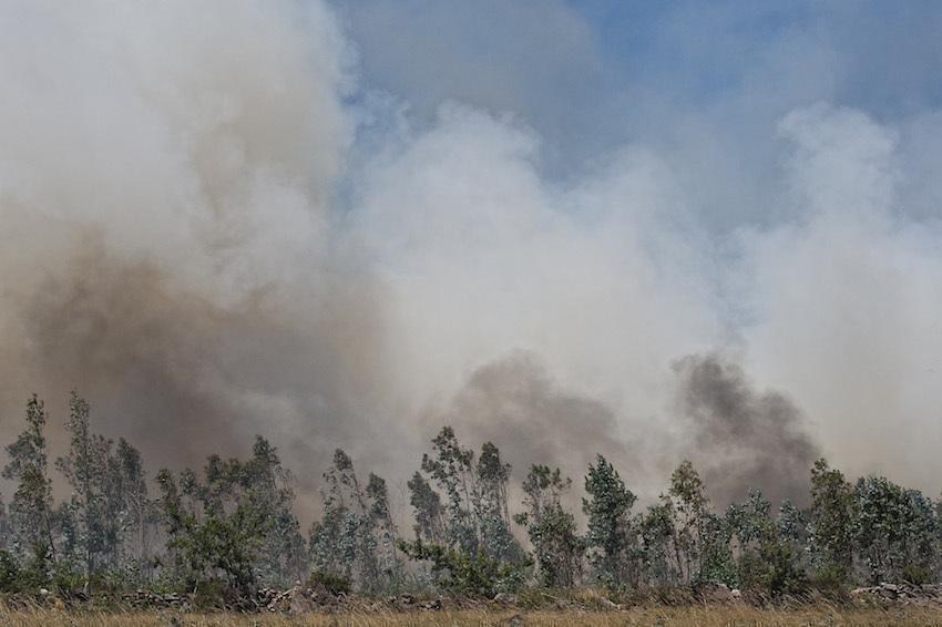 Incendio dun bosque de eucaliptos en Berdoias en 2010-Foto-Marcos Rodriguez