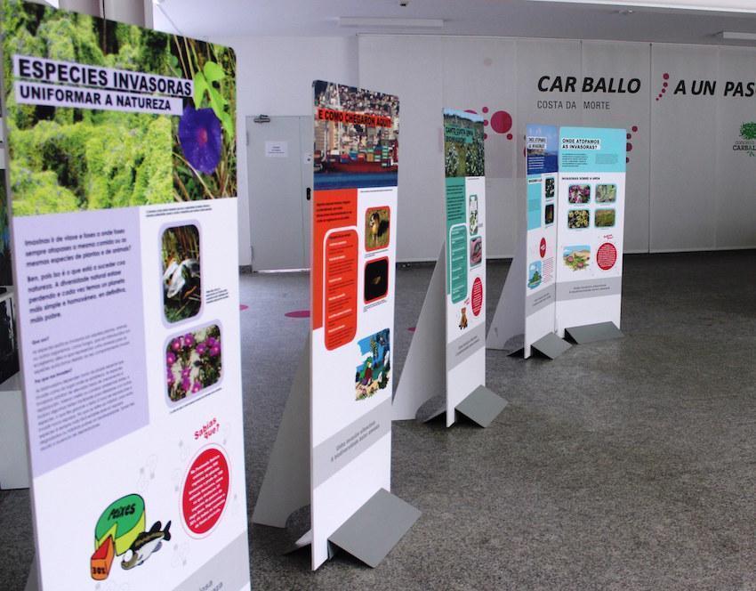 Exposicion de invasoras en Carballo