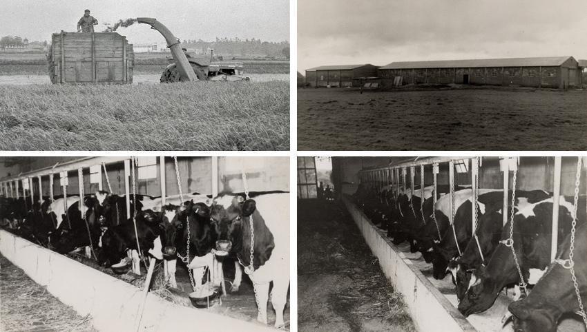 Fotos historicas da Cooperativa de Grille de Mazaricos