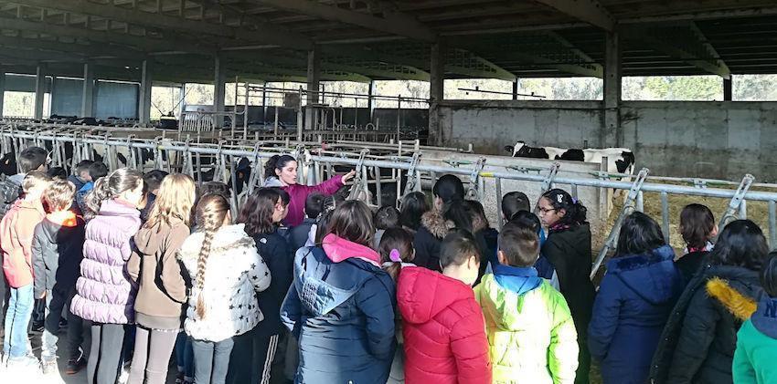 Visita escolar a unha granxa na Semana do Leite de Santa Comba