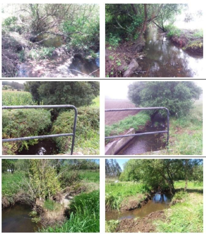 Antes e despois da limpeza de rios de Malpica copia