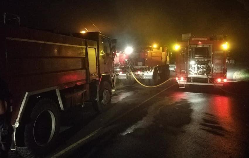Ges de Muros nun lume forestal