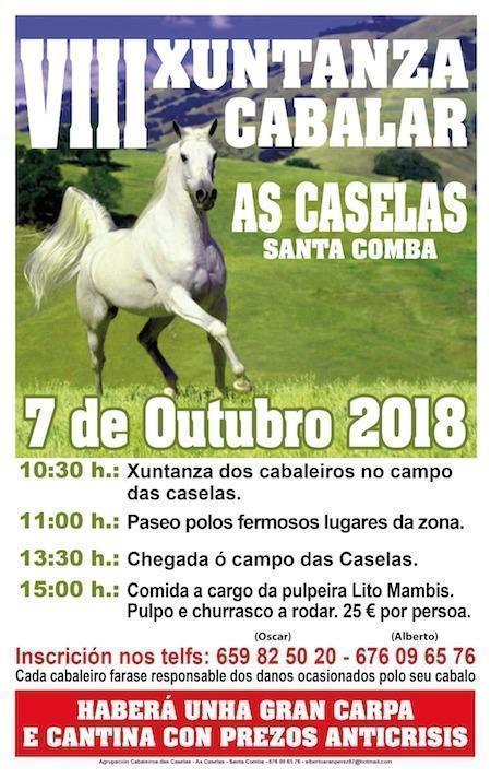 Xuntanza Cabalar As Caselas Santa Comba 2018