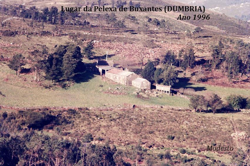 Lugar da Pelexa-Buxantes-Dumbria-1996