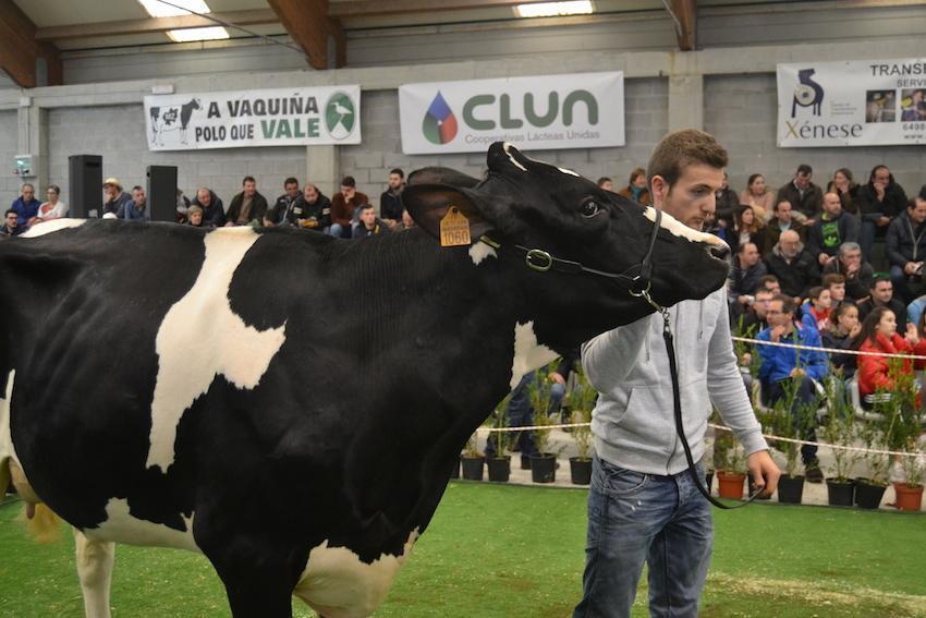 Poxa da Semana Gandeira de Mazaricos 2018 2