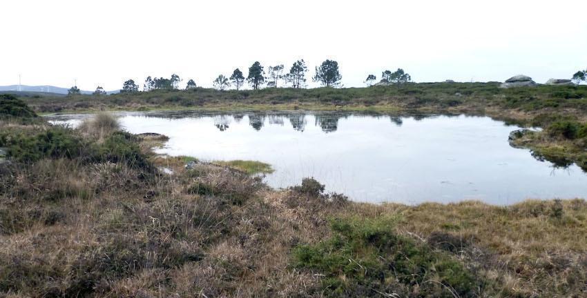 Lagoa de Cabral