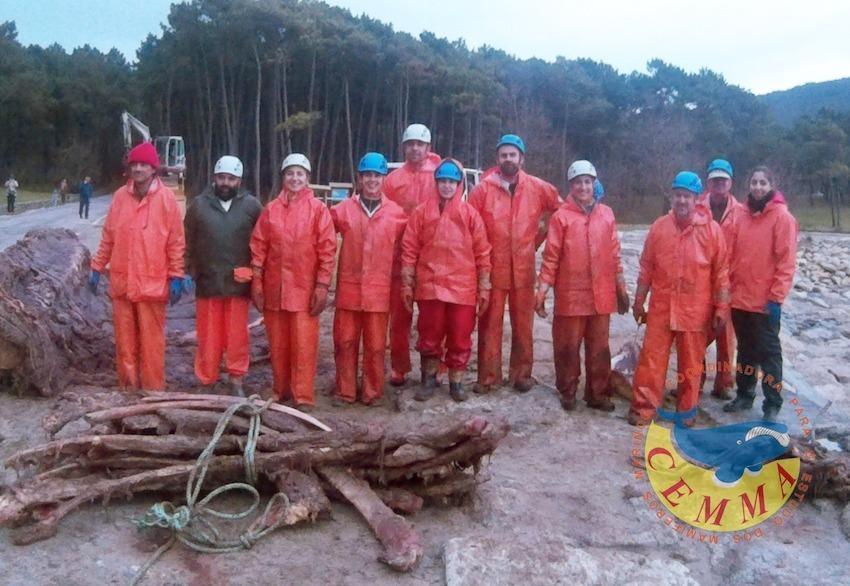 Equipo do CEMMA que cuarteou a balea de Balares