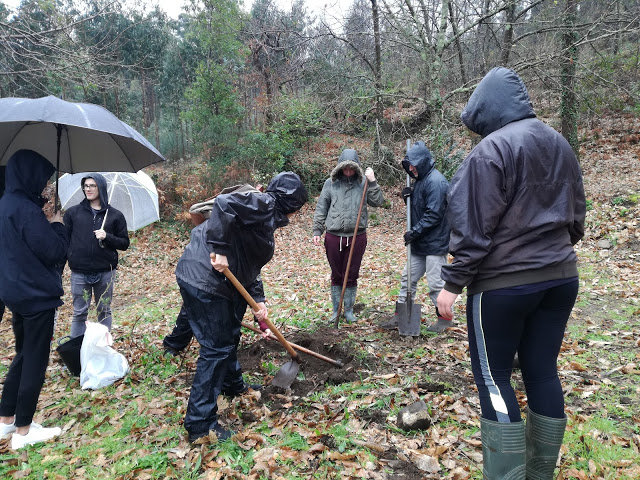 Sesion de prantacion con carballos dos rapaces do IES Fernando Blanco con Boca de Sapo