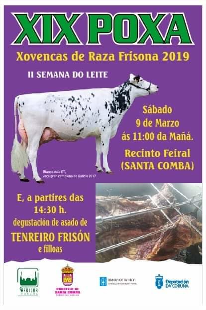 Xornadas Raza Frisona Santa Comba 2019