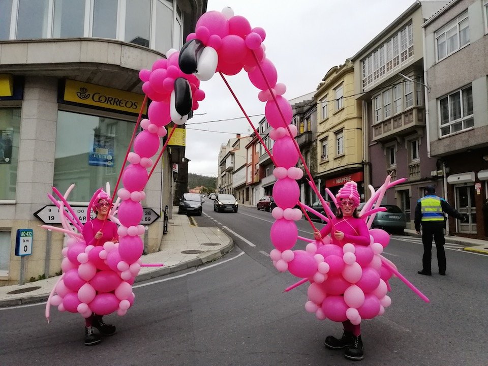 Flamingos no Entroido de Vimianzo