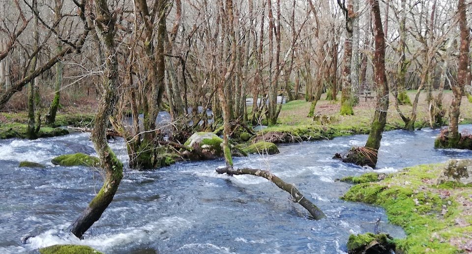 Área recreativa de Pedra Vixía (Baio) Foto X.Mª Lema