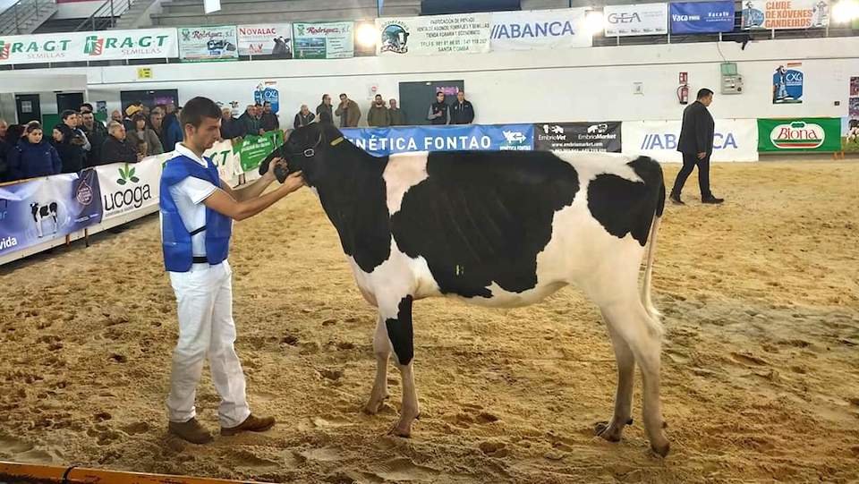 Poxa de Xovencas de SAnta Comba