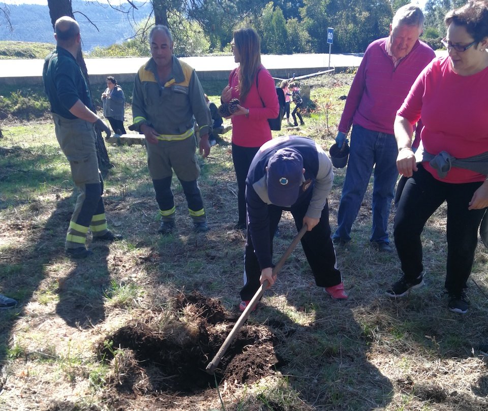 Prantando carballos polo Dia da Arbore