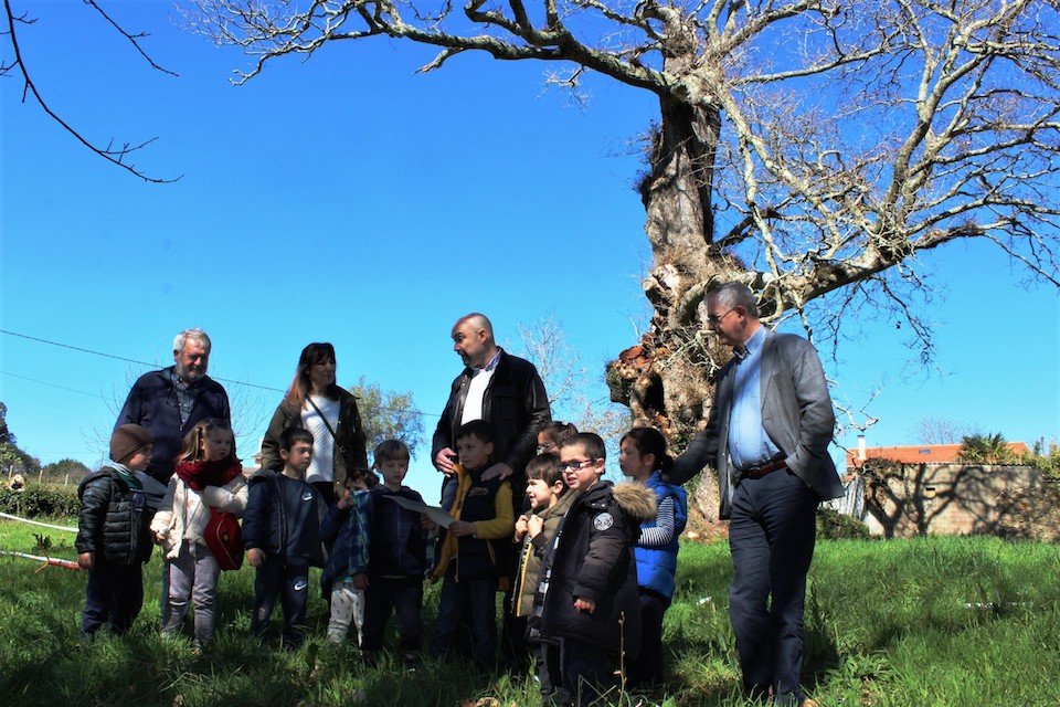 Dia da Arbore no carballo Senlleiro de Vilar de Francos